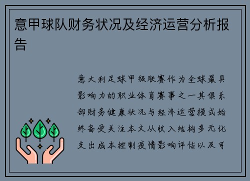 意甲球队财务状况及经济运营分析报告